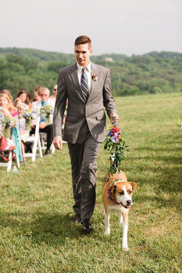 церемония регистрации брака pet-friendly