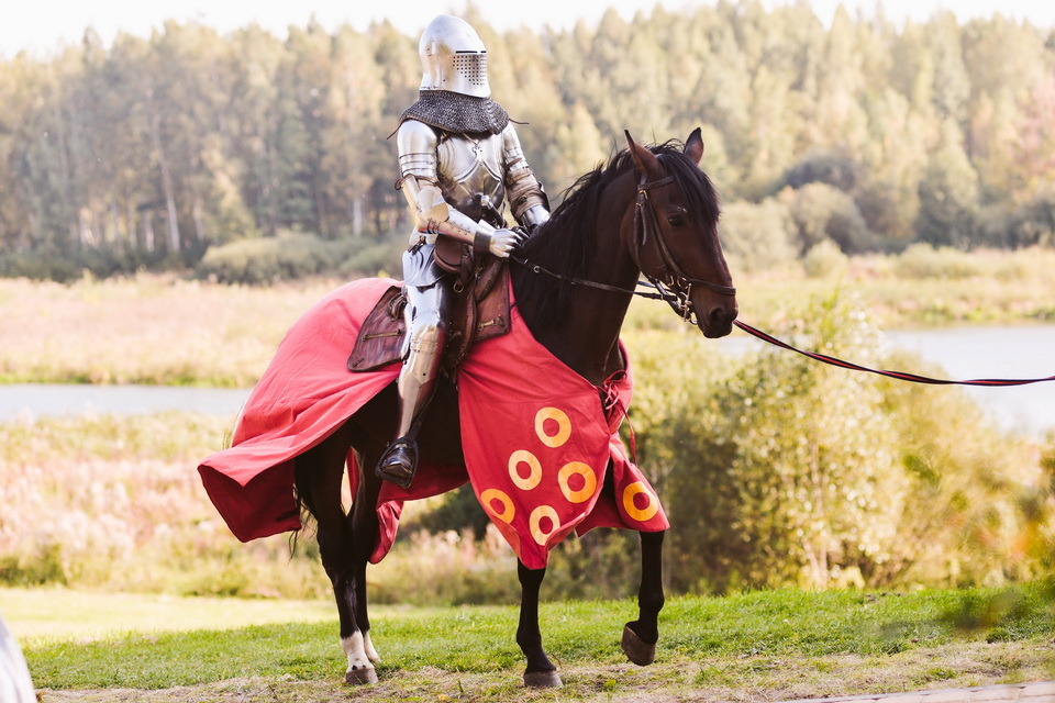 Лошадь для рыцарского предложения девушке
